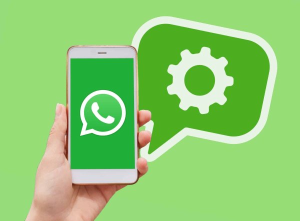 Api Whatsapp Premium